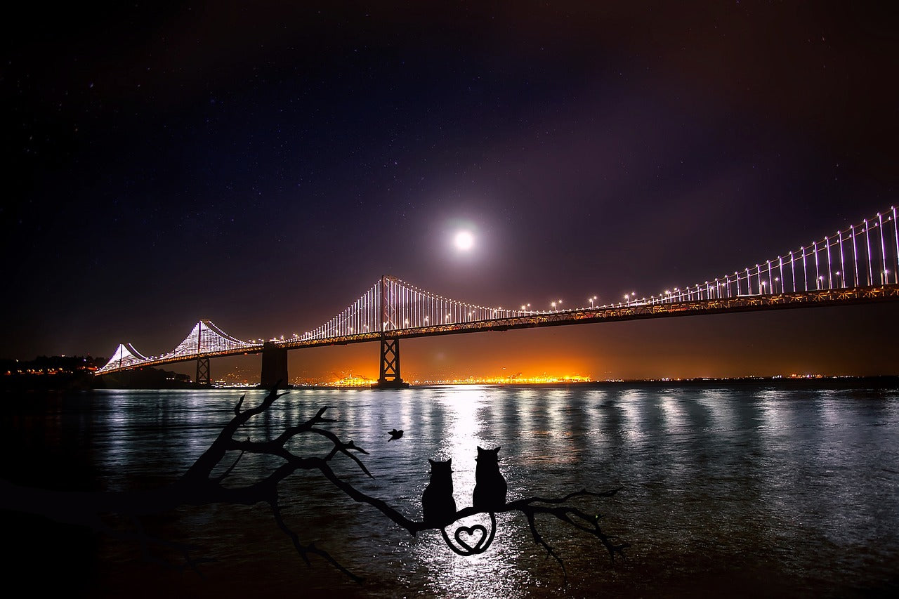 san francisco, oakland, bay bridge-1893985.jpg
