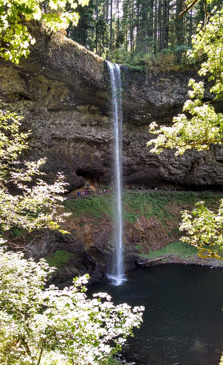 silver creek falls, oregon, waterfall-943208.jpg