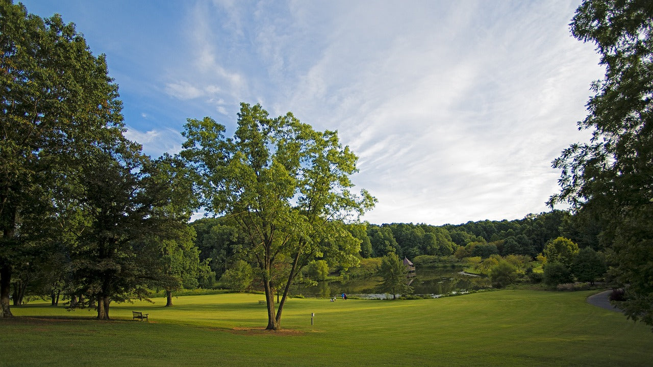 summer, virginia, northern virginia-902183.jpg