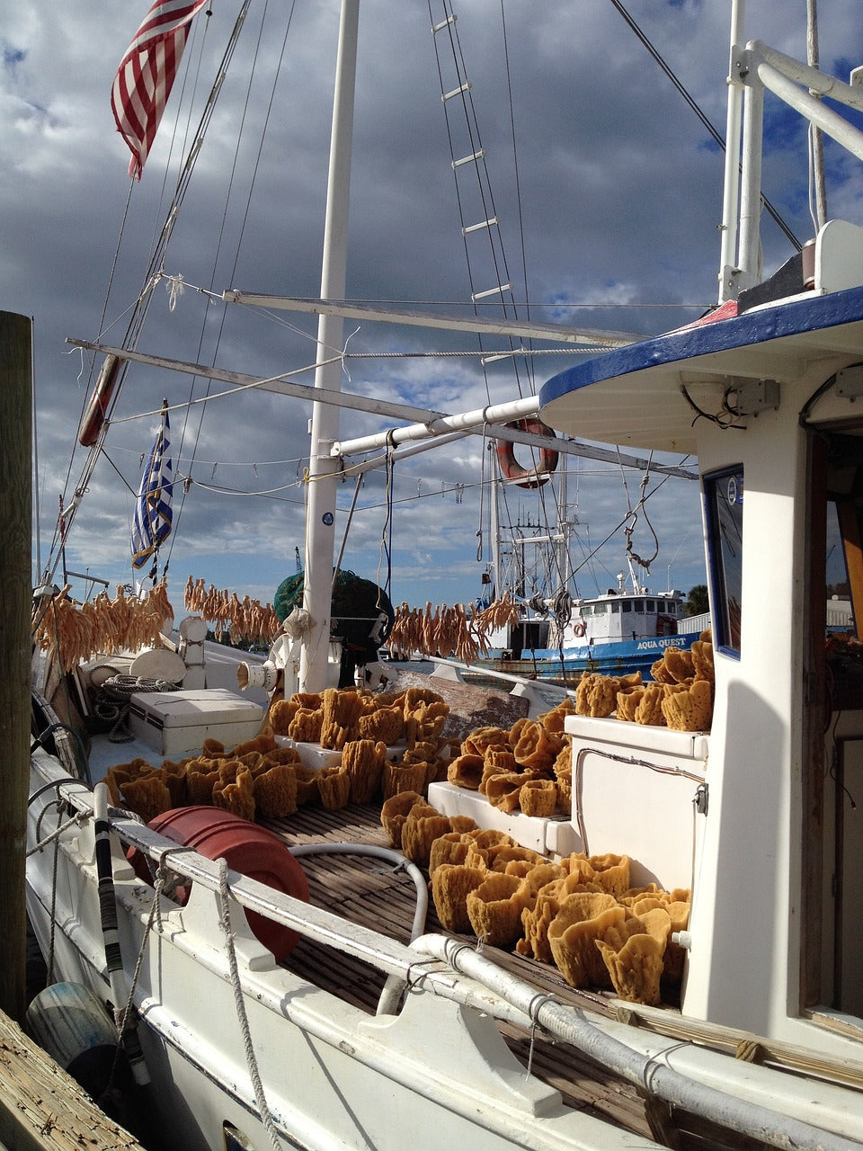 tarpon springs, florida, sponges-2695932.jpg