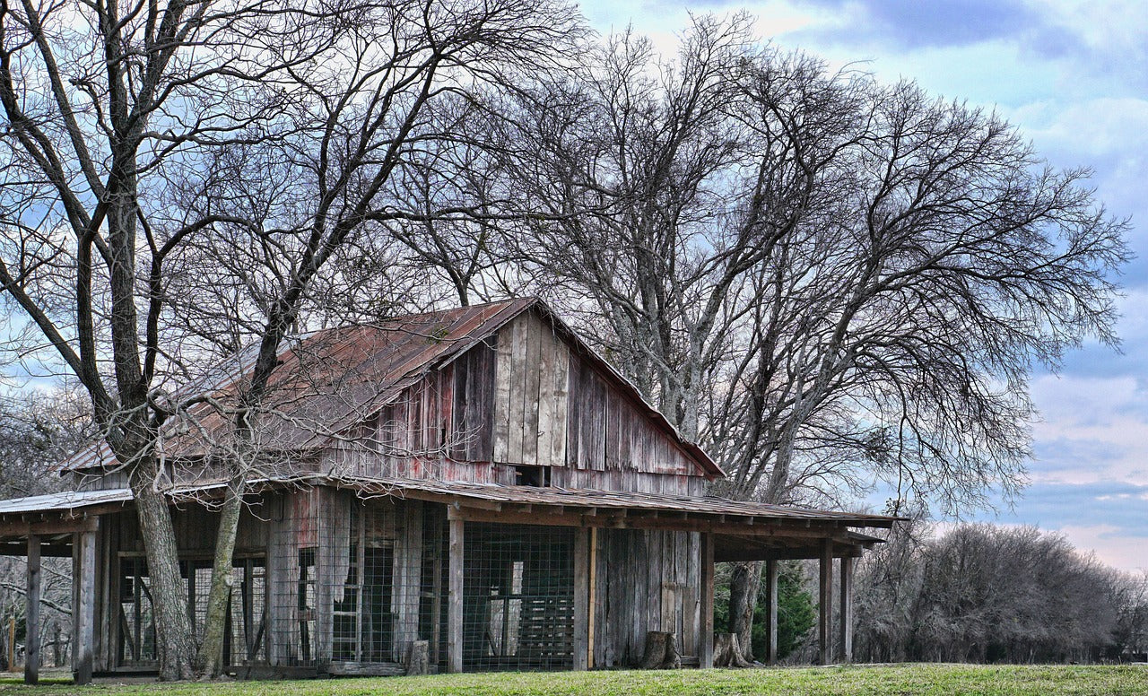 tree, wood, house-3213376.jpg