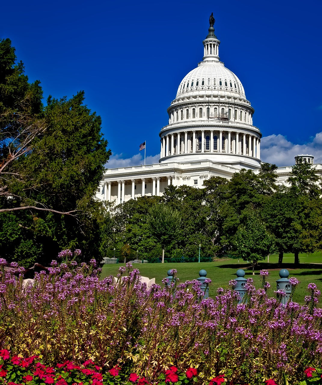 washington dc, c, capitol building-1607774.jpg