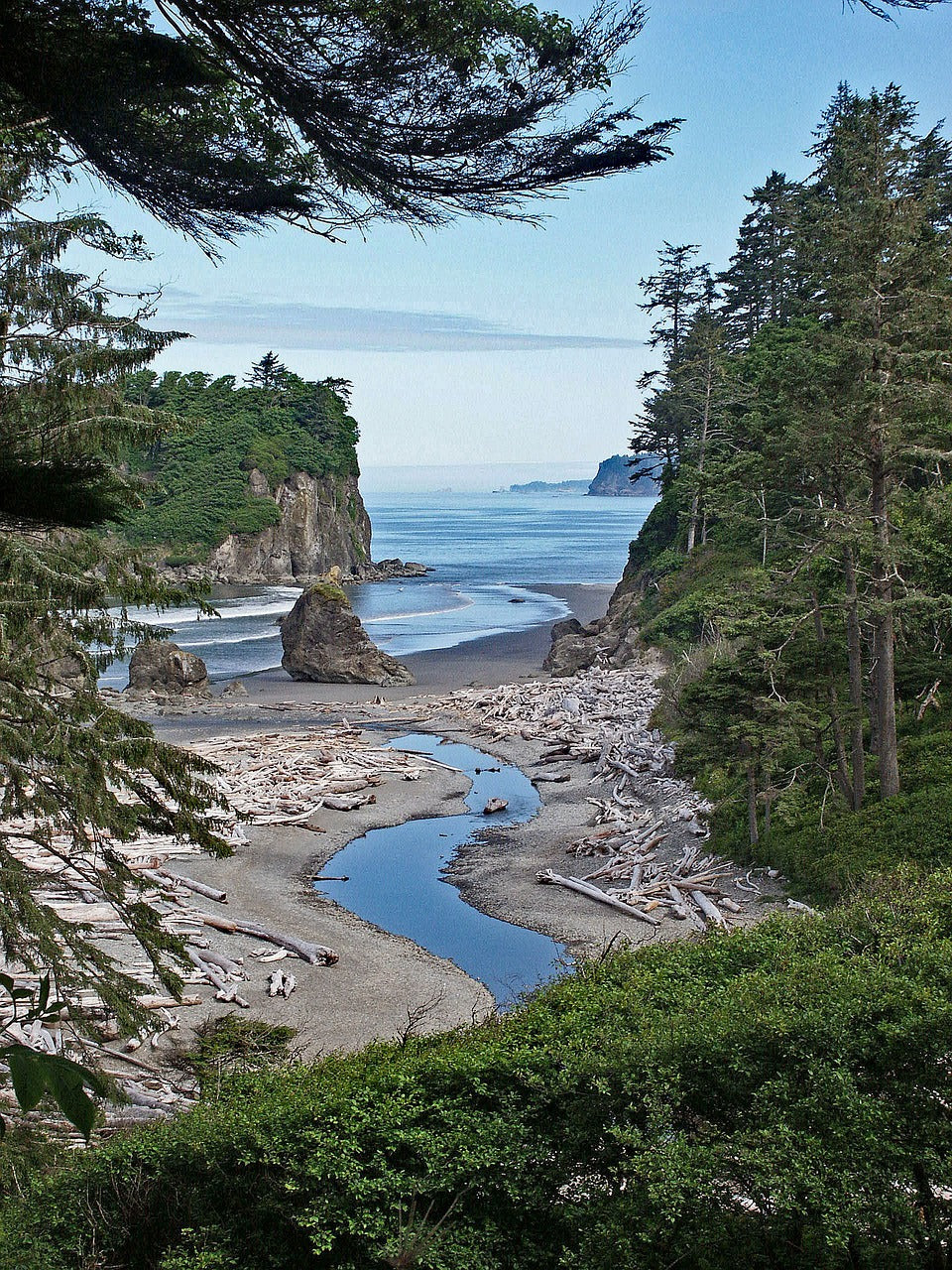 washington, nature, ruby-4968910.jpg