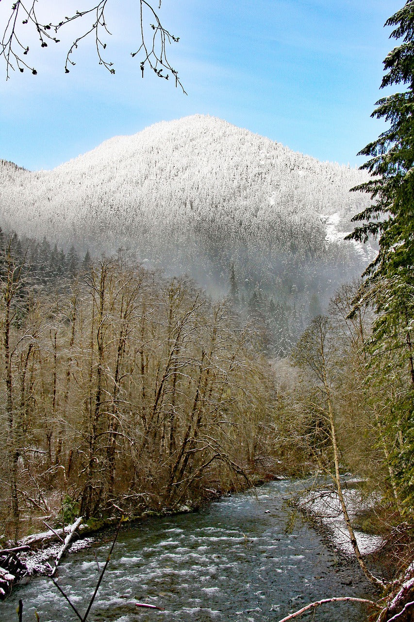 washington, olympic, peninsula-4991833.jpg