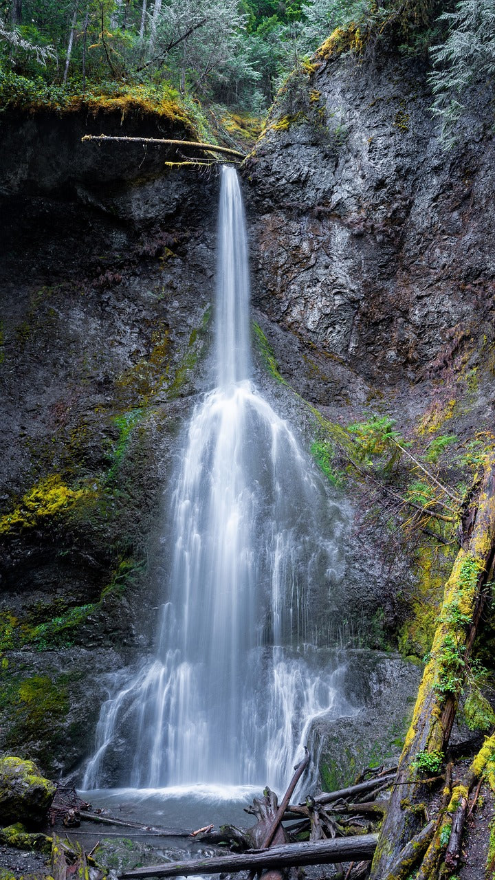 waterfall, forest, pine forest-5354778.jpg
