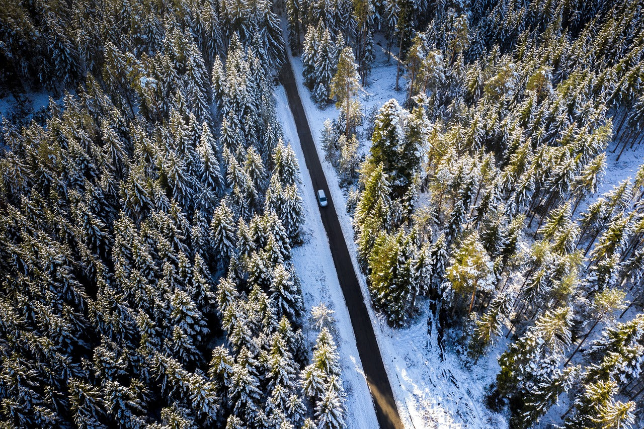 winter, winter forest, street-5814578.jpg