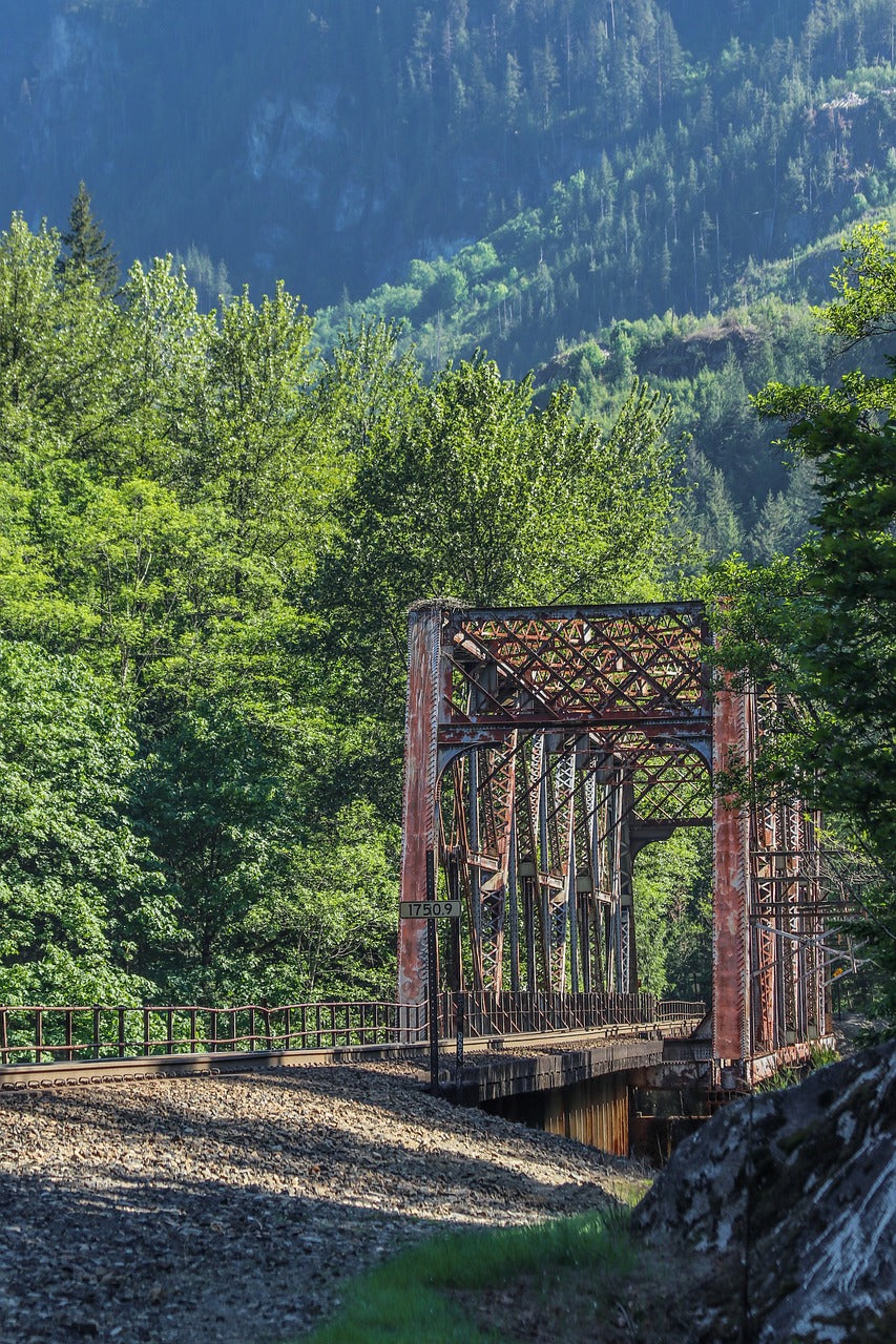 woods, railroad, bridge-7260165.jpg
