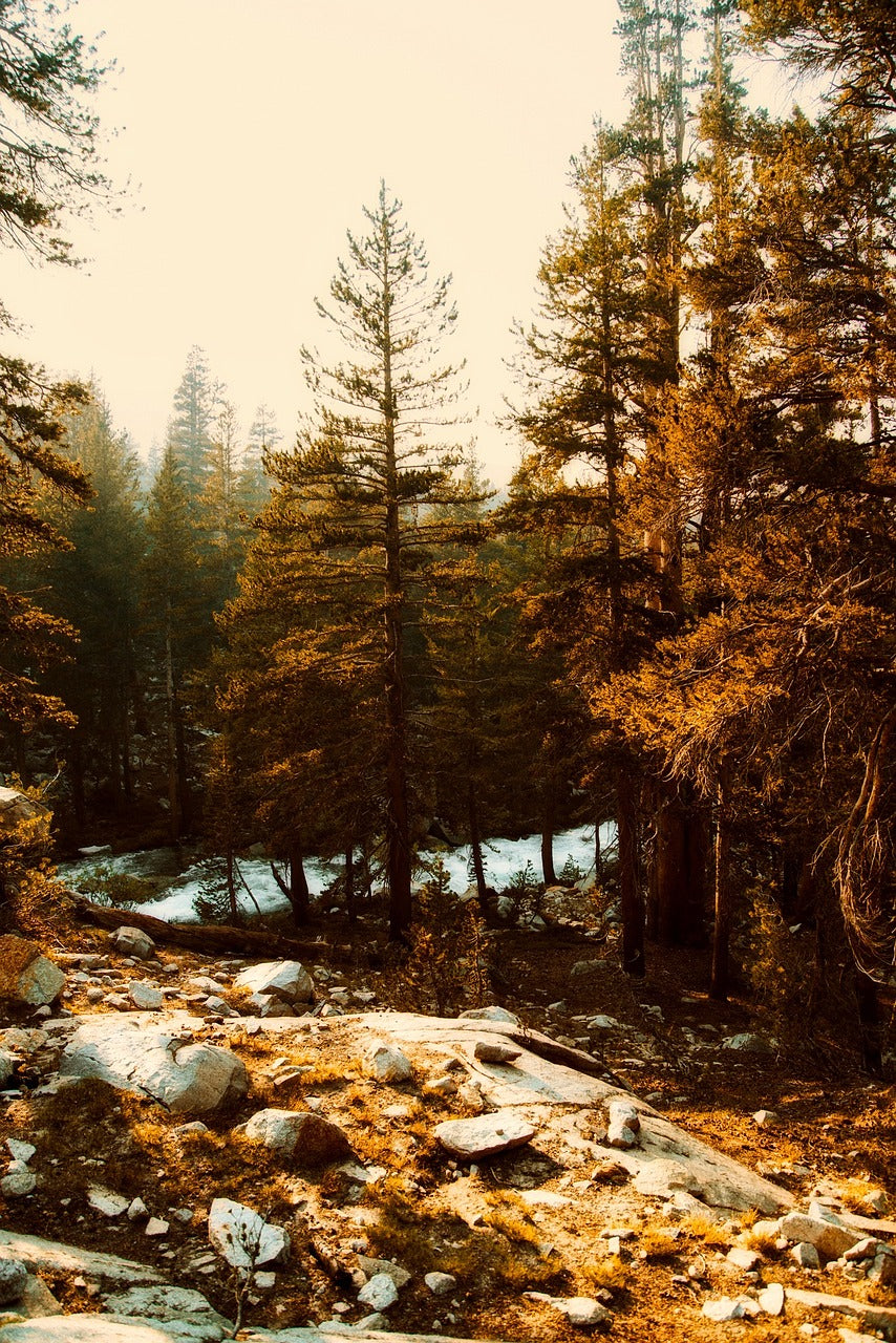 yosemite, national park, california-2584069.jpg